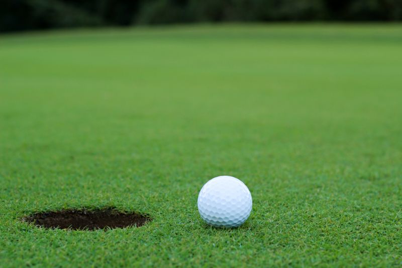 Golf Course Turf Installation detail