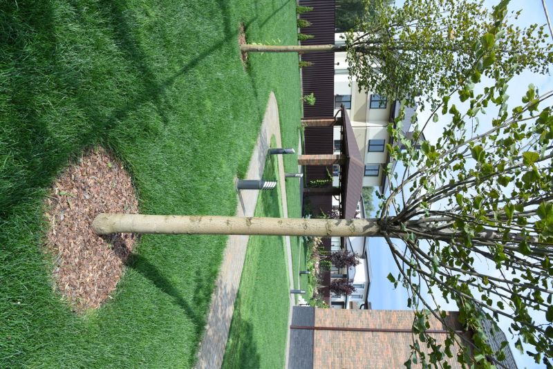 Tree Curbing Installation detail