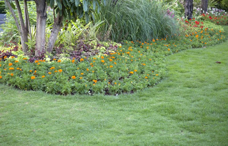 Outdoor Design